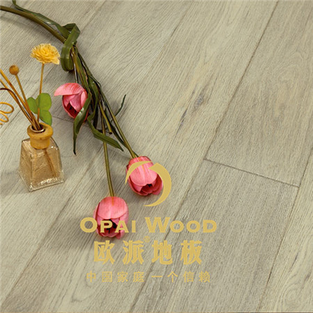 http://www.guolufengmao.cn/
